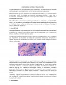 Analisis de leishmaniasis cutánea y mucocutanea