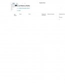 Armadura Pasiva y Activa