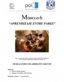 Proyecto: Desafío 1. “Caso Antonia”