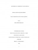 Ensayo comportamiento social en tiempos de pandemia