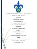 ENSAYO: EDUCACIÓN PARA LA VIDA SUSTENTABLE