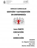 ESPACIO CURRICULAR GESTIÓN Y AUTOGESTIÓN EN ENFERMERÍA