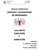 ESPACIO CURRICULAR GESTIÓN Y AUTOGESTIÓN EN ENFERMERÍA