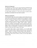 Definición de la Organización