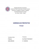 Gestion de proyectos