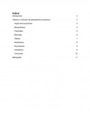 Historia y Evolución del Pensamiento Económico