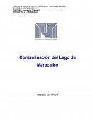 Contaminación del lago de maracaibo