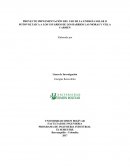 PROYECTO IMPLEMENTACIÓN DEL USO DE LA ENERGÍA SOLAR O FOTOVOLTAICA A LOS USUARIOS DE LOS BARRIOS LAS MORAS Y VILLA