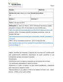 Análisis económico local: Sectores económicos en Cuautitlán Izcalli
