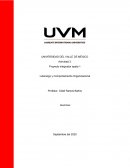 Liderazgo y Comportamiento Organizacional