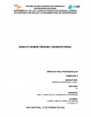 Ensayo derecho procesal civil organo jurisdiccional