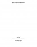 Importancia de la imprenta