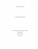 Código hecho imagen