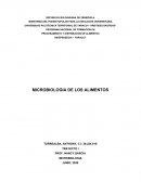 MICROBIOLOGIA DE LOS ALIMENTOS