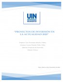 PROYECTO DE INVERSIÓN EN LA ACTUALIDAD