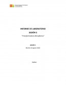 Laboratorio Electricidad. “Transformadores Monofásicos”