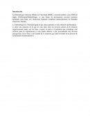 Empresa DURAFLEX S.A