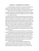 DESARROLLO vs SUBDESARROLLO EN VENEZUELA