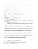 INFORME DEL TEST DE APTITUDES CAPS