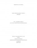 Administracion de negocios internacionales