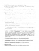 FILOSOFIA. Ramas de la filosofia