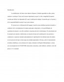 Mejoramiento de señalética vial y peatonal