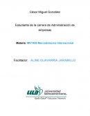 PLAN DE MERCADOTECNIA FASE 2. INVESTIGACIÓN DE MERCADOS INTERNACIONALES