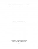 Cultura del semáforo y su proximidad a lo politico