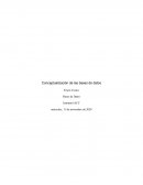 Conceptualización de las bases de datos