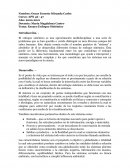 Ensayo Enfoque Sistemico