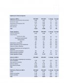 Ingresos por la línea de negocios