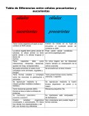 Tabla de Diferencias entre células procariontas y eucariontas