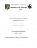 SUJETOS DEL DRECHO INTERNACIONAL PUBLICO