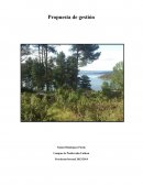 Propuesta de gestión forestal