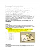 Generador: Formatos y escalas industriales