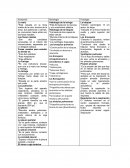 Anatomía Histologia Fisiología