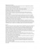 Megatendencias Coppel