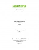 Transcripción respuestas del adolescente