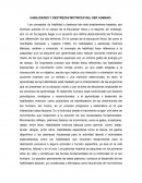 HABILIDADES Y DESTREZAS MOTRICES DEL SER HUMANO