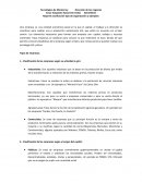 Dirección de los negocios. Tipos de empresas