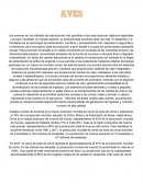 Resumen aves