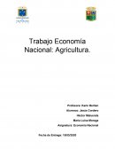 Trabajo Economía Nacional: Agricultura
