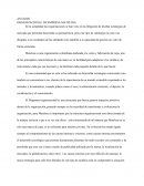 ANALISIS ORGANIZACIONAL DE EMPRESA MATELSSA