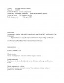 DISEÑO Y ESTRATEGIA DE VENTAS