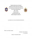 Ley Orgánica De La Fuerza Armada Nacional Bolivariana