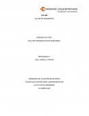 GNS3 TALLER DE DESEMPEÑO