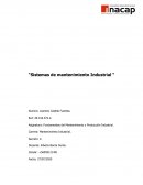 Sistemas de mantenimiento Industrial