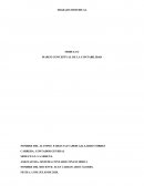 MARCO CONCEPTUAL DE LA CONTABILIDAD