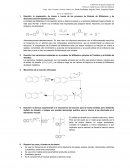 Previo de B nerolina