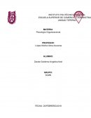 Analisis del puesto. Psicologia Organizacional